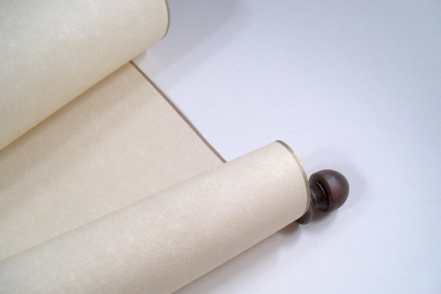 Extra wide blank parchment scroll with stained brown finials and gold  edging, 11x19paper, storage tube
